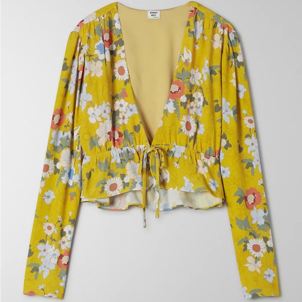 Sunday Best Aritzia New Cropped Tie Front Blouse